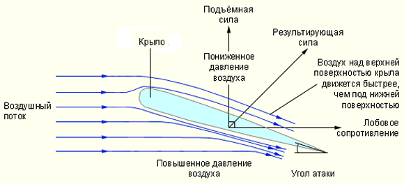 Неполный обзор векторной направленности сил, воздействующих на крыло
