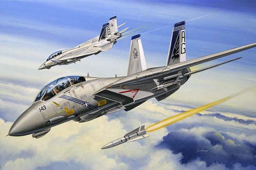 F 14B Tomcat