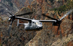 Osprey