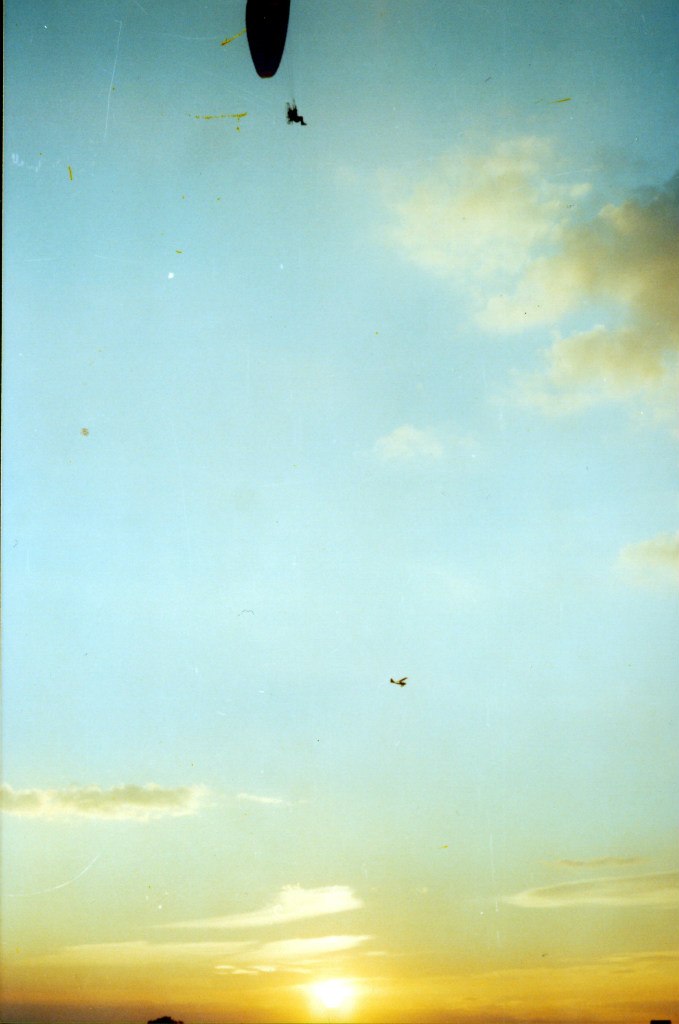 Paraplan vs Petrovich plane