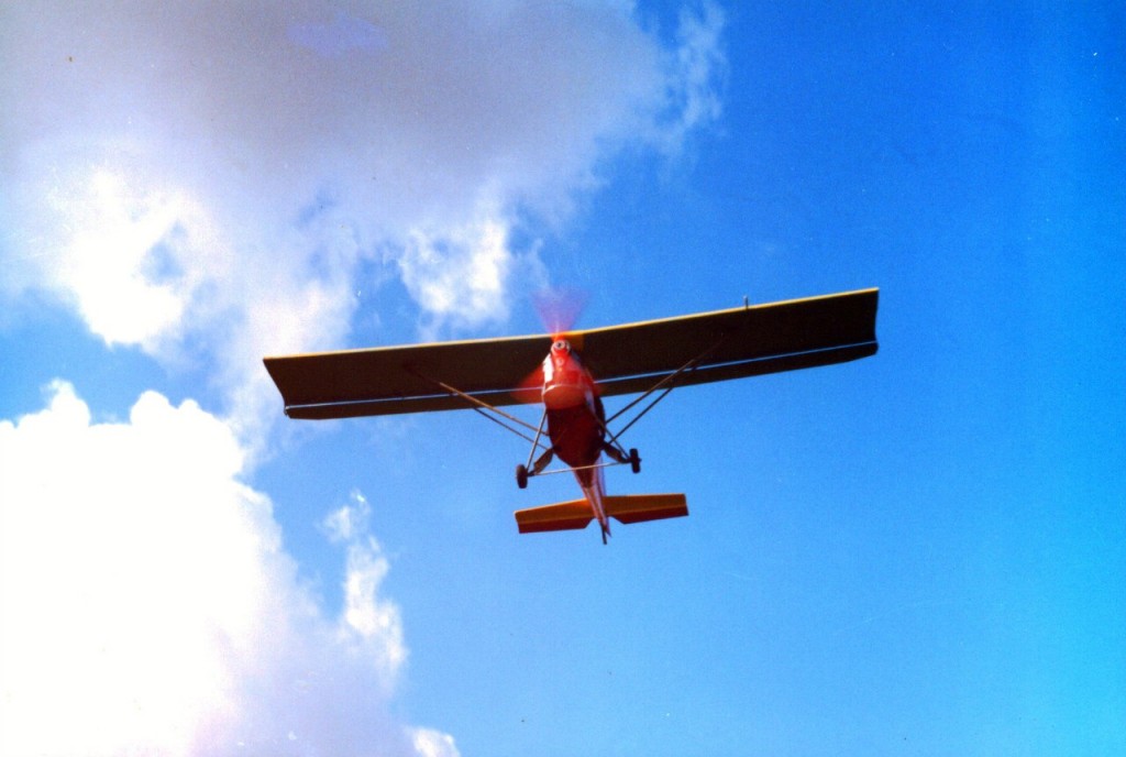 Petrovich plane flyght