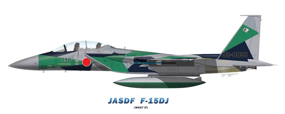 f-15D