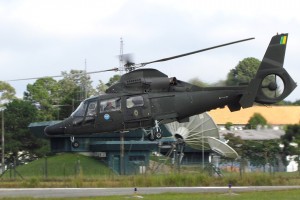 HM-1 Panther